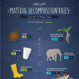 How long does it take material to decompose